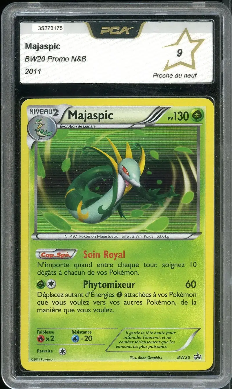 PCA 9 Majaspic Holo