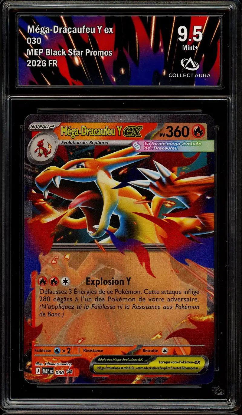 CA 9.5 Méga-Dracaufeu Y Ex