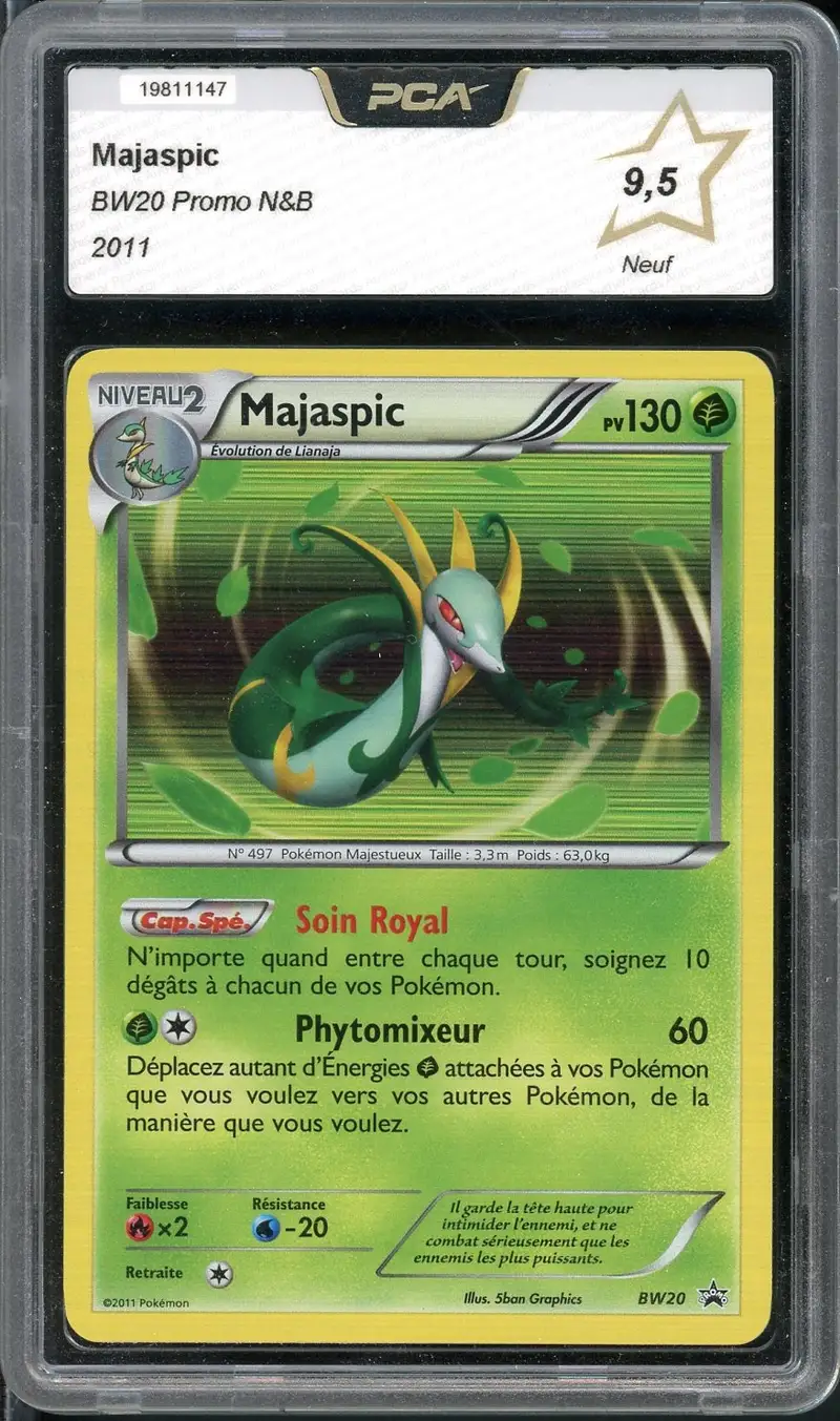 PCA 9.5 Majaspic Holo