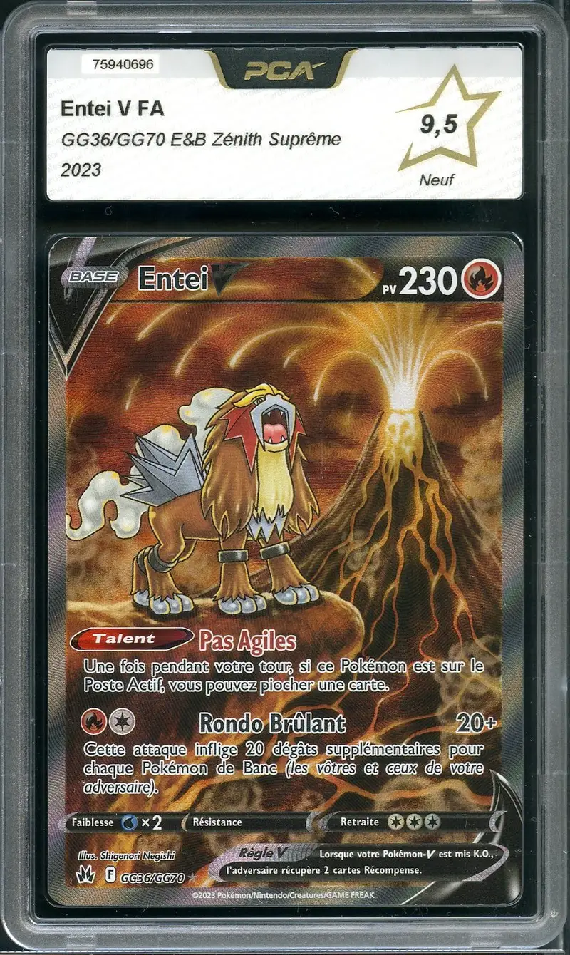 PCA 9.5 Entei V