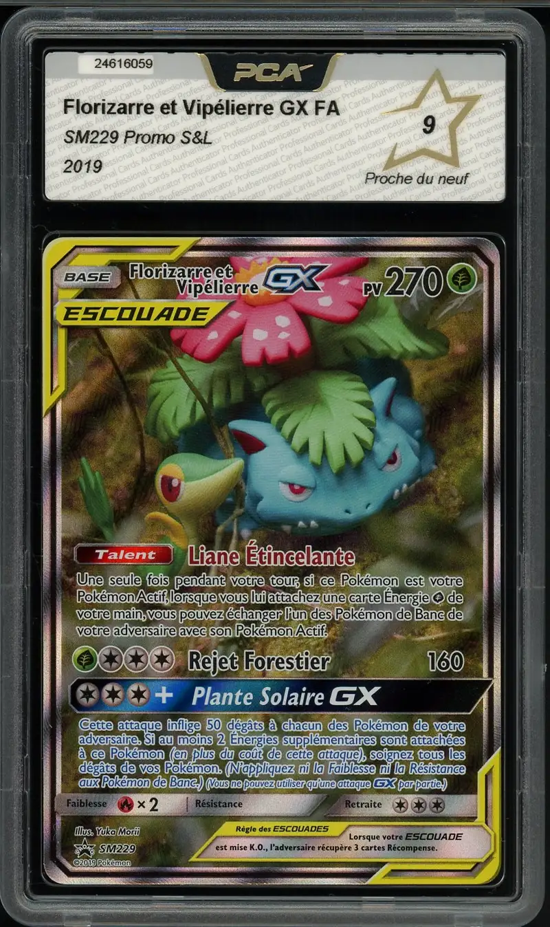 PCA 9 Florizarre et Vipélierre Gx
