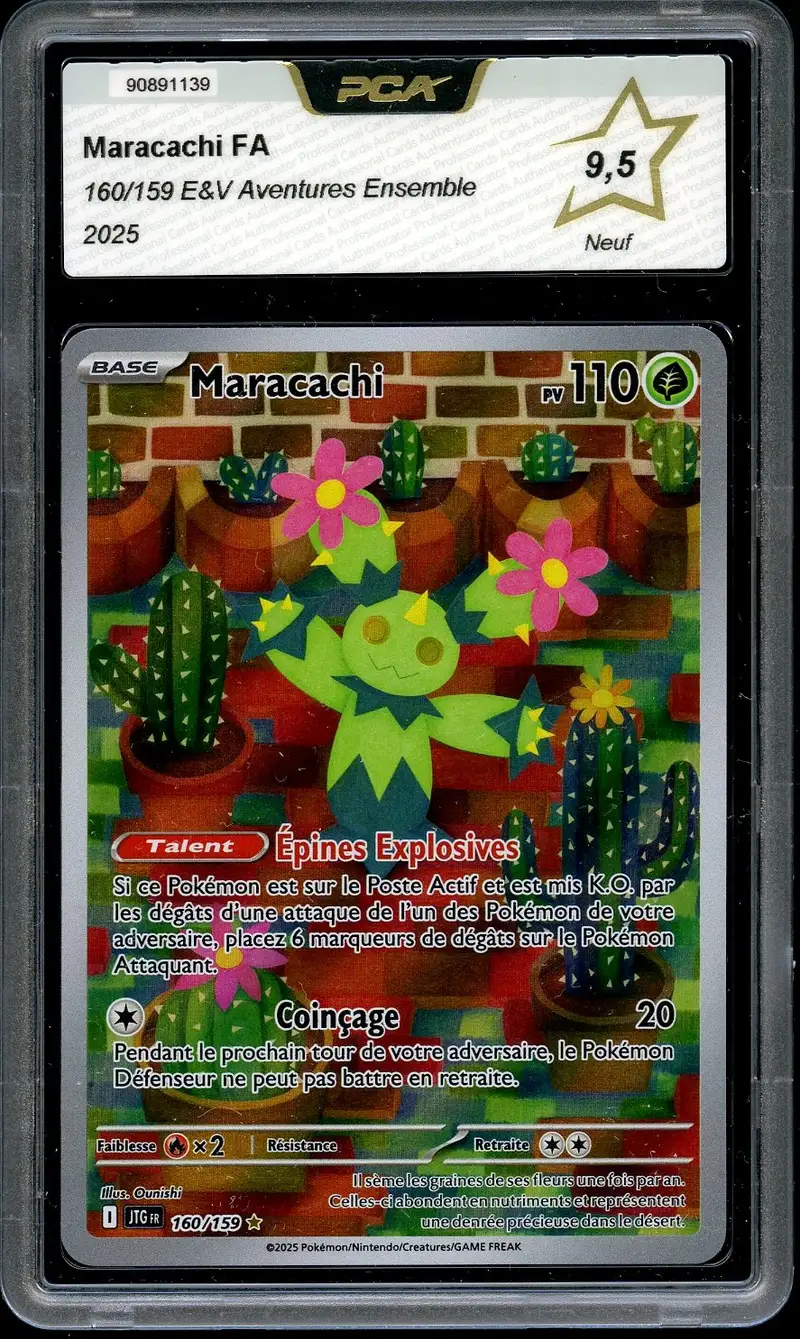 PCA 9.5 Maracachi
