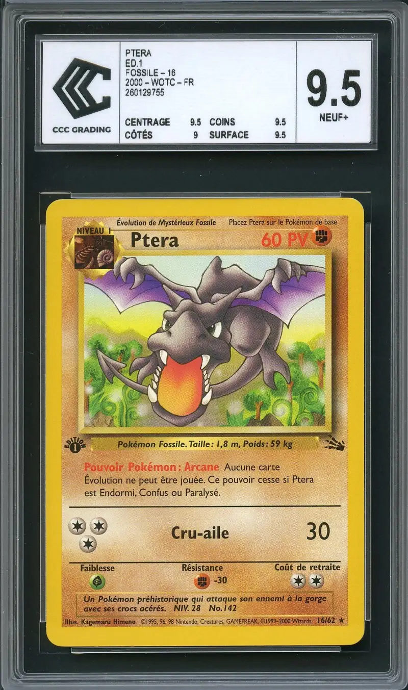 CCC 9.5 Ptéra