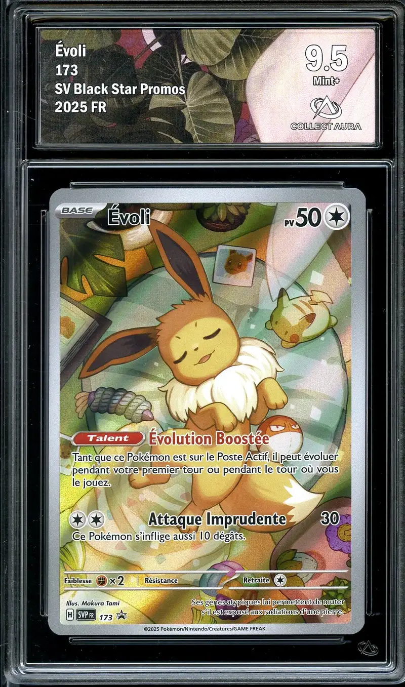 CA 9.5 Evoli