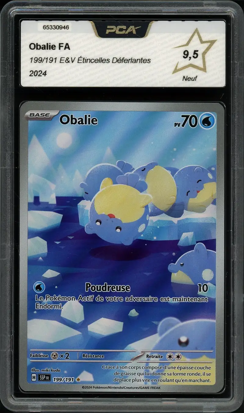 PCA 9.5 Obalie