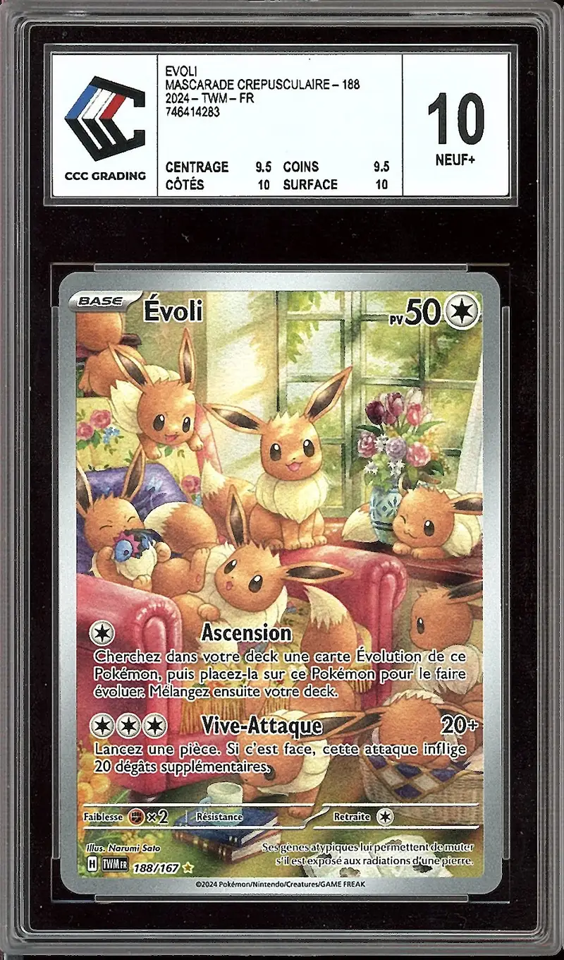 CCC 10 Evoli