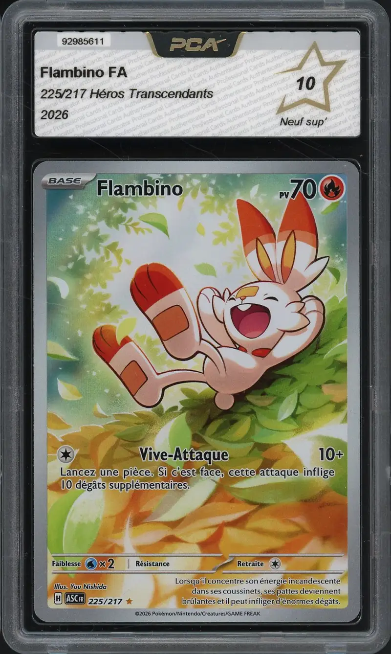 PCA 10 Flambino