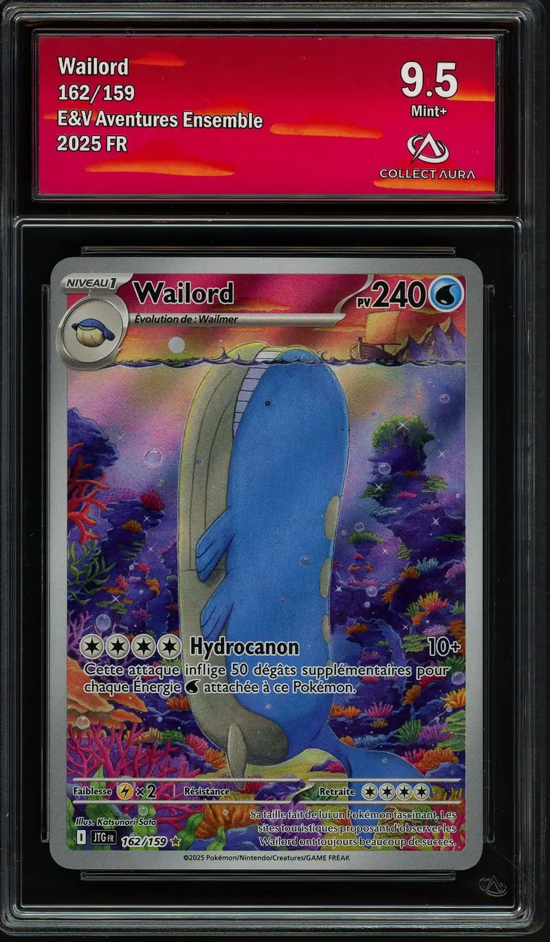 CA 9.5 Wailord