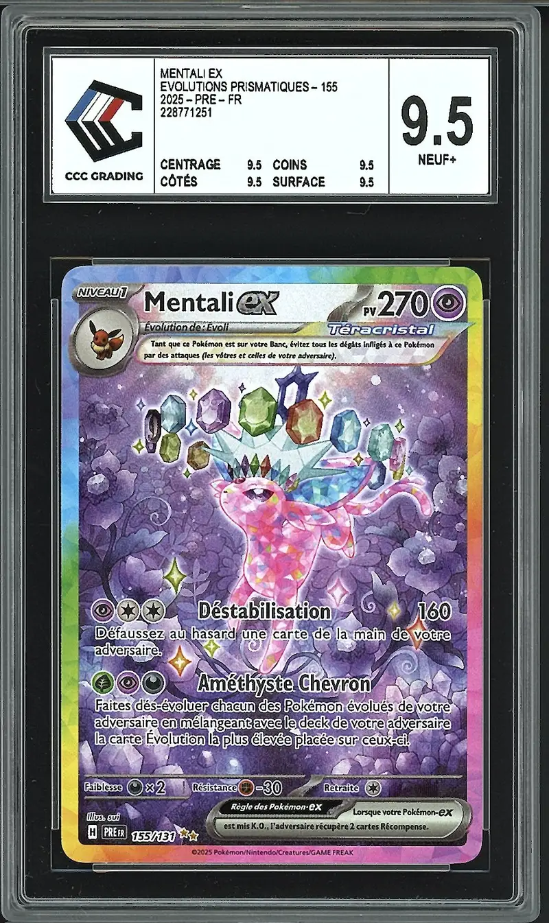 CCC 9.5 Mentali Ex