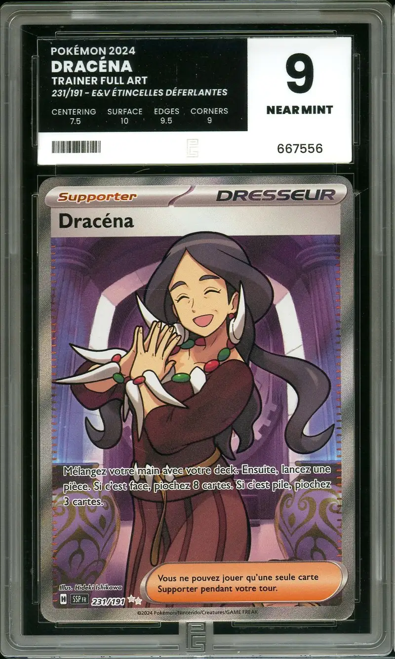 PG 9 Dracéna