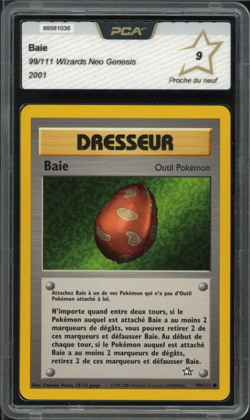 PCA 9 Baie