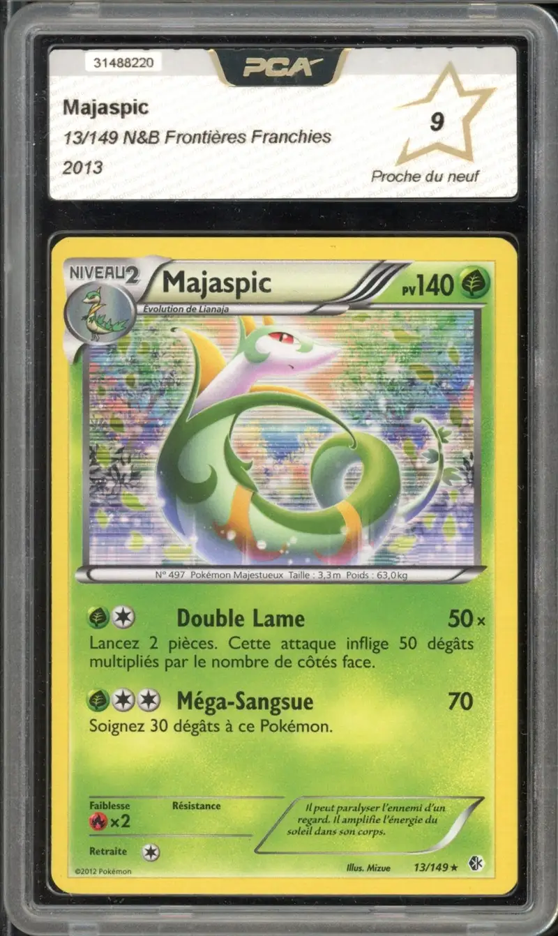 PCA 9 Majaspic Holo