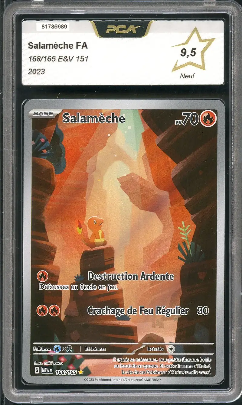 PCA 9.5 Salamèche