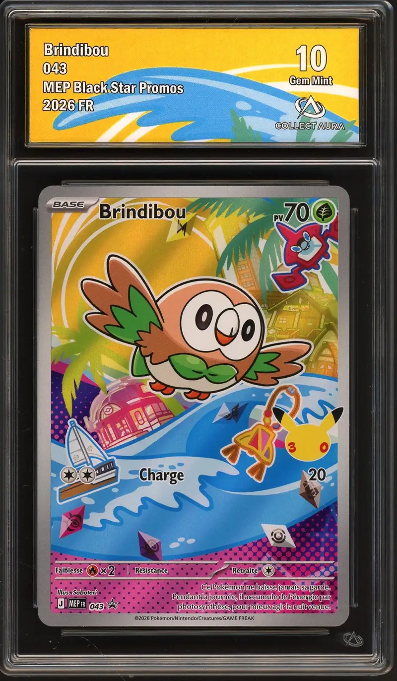 CA 10 Brindibou