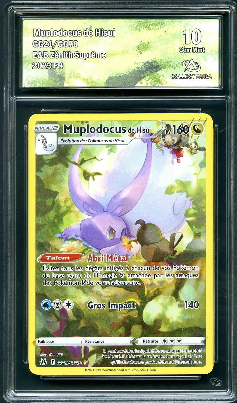CA 10 Muplodocus de Hisui