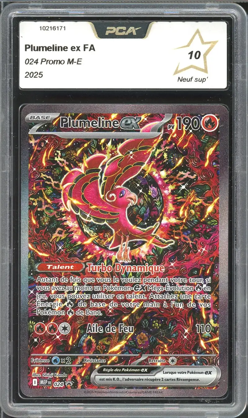 PCA 10 Plumeline Ex