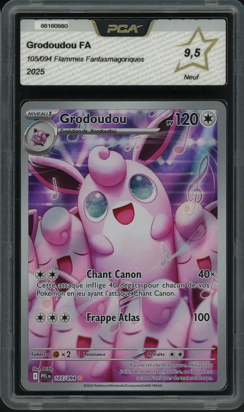 PCA 9.5 Grodoudou