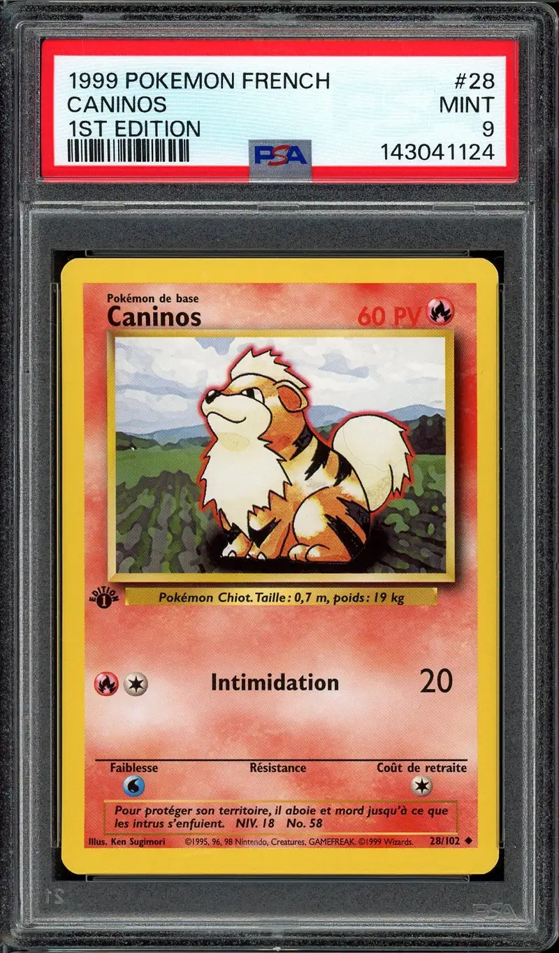 PSA 9 Caninos