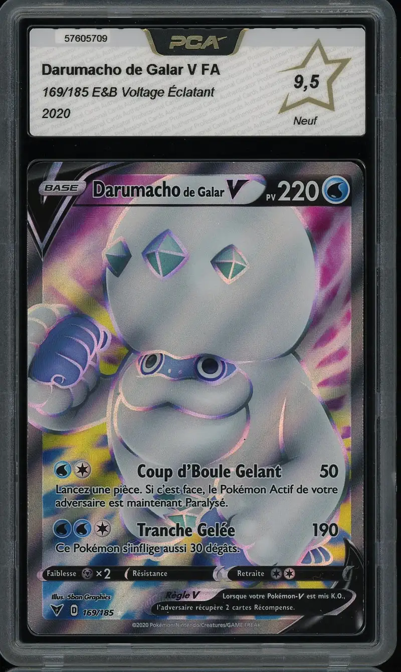 PCA 9.5 Darumacho de Galar V