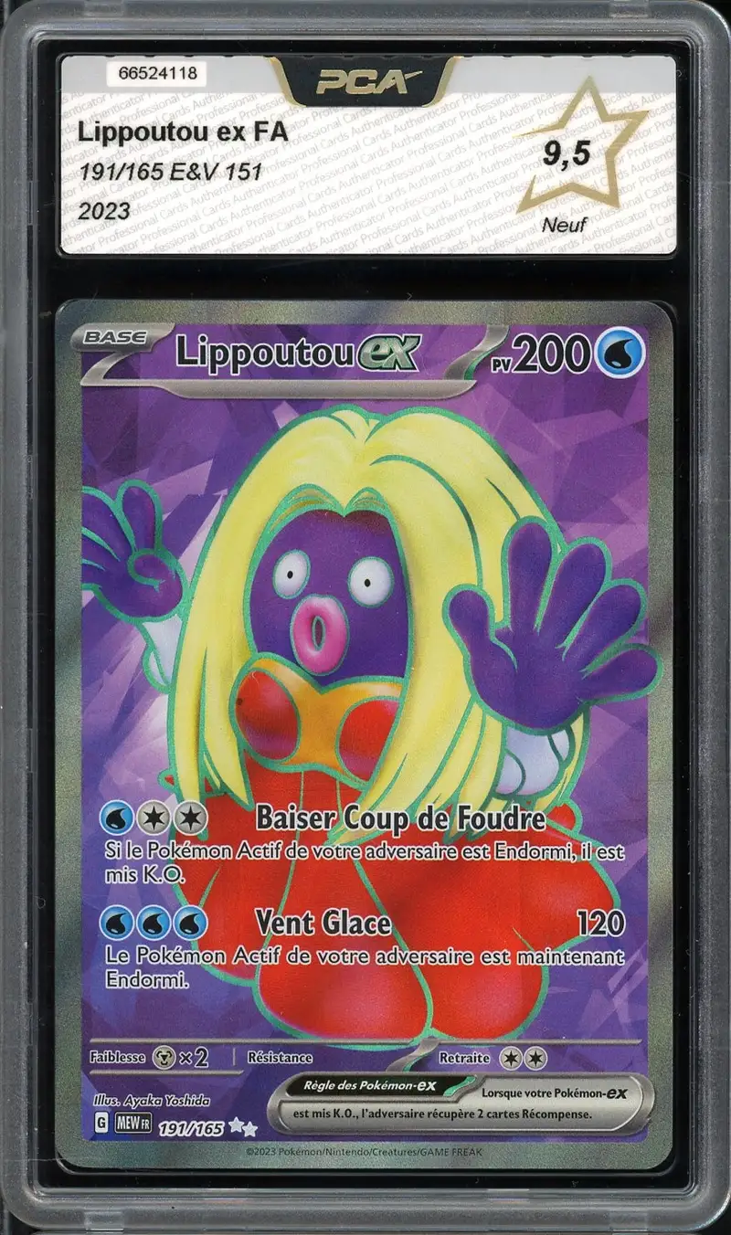 PCA 9.5 Lippoutou Ex