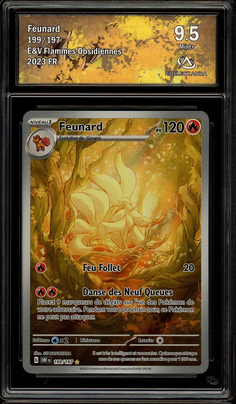 CA 9.5 Feunard