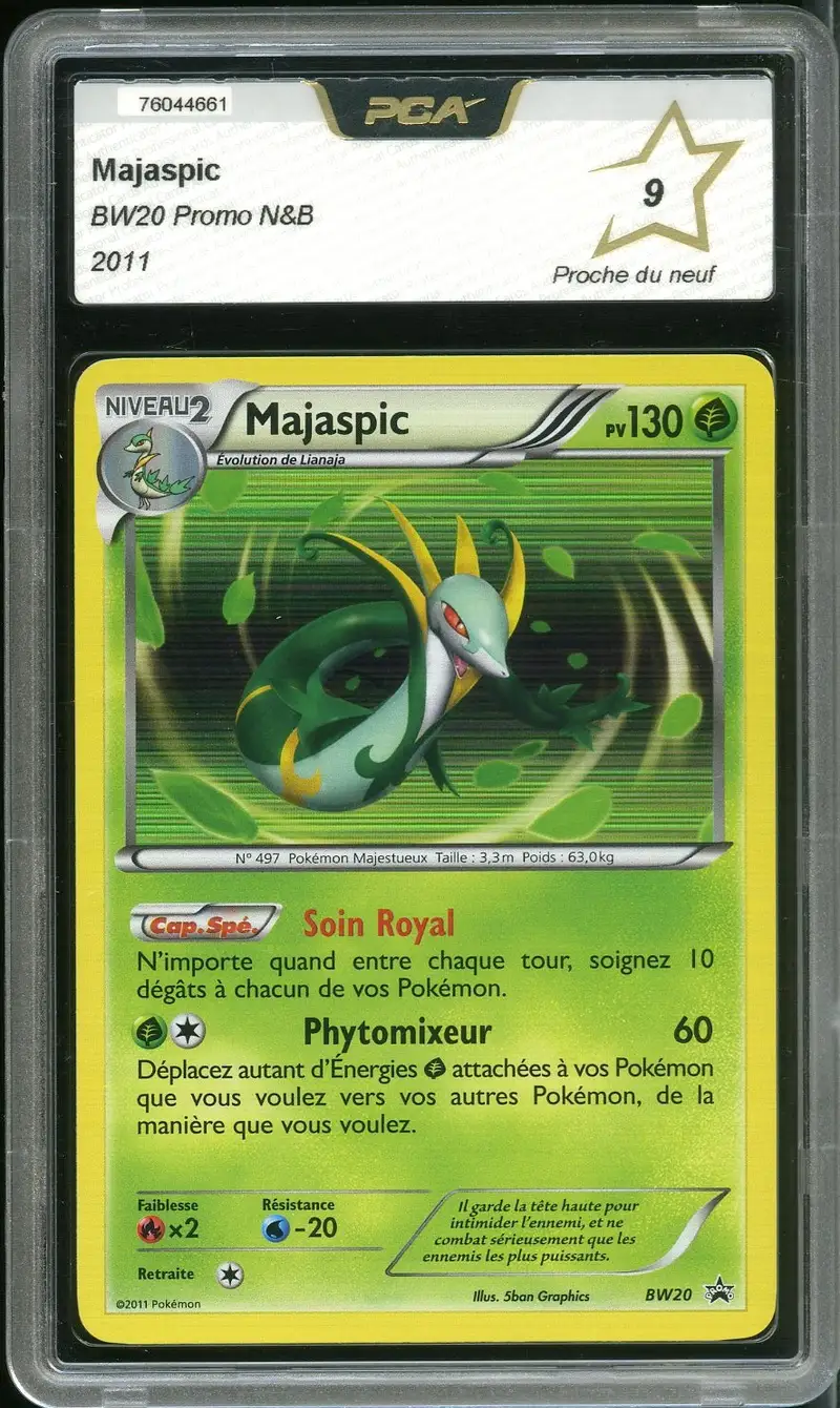 PCA 9 Majaspic Holo