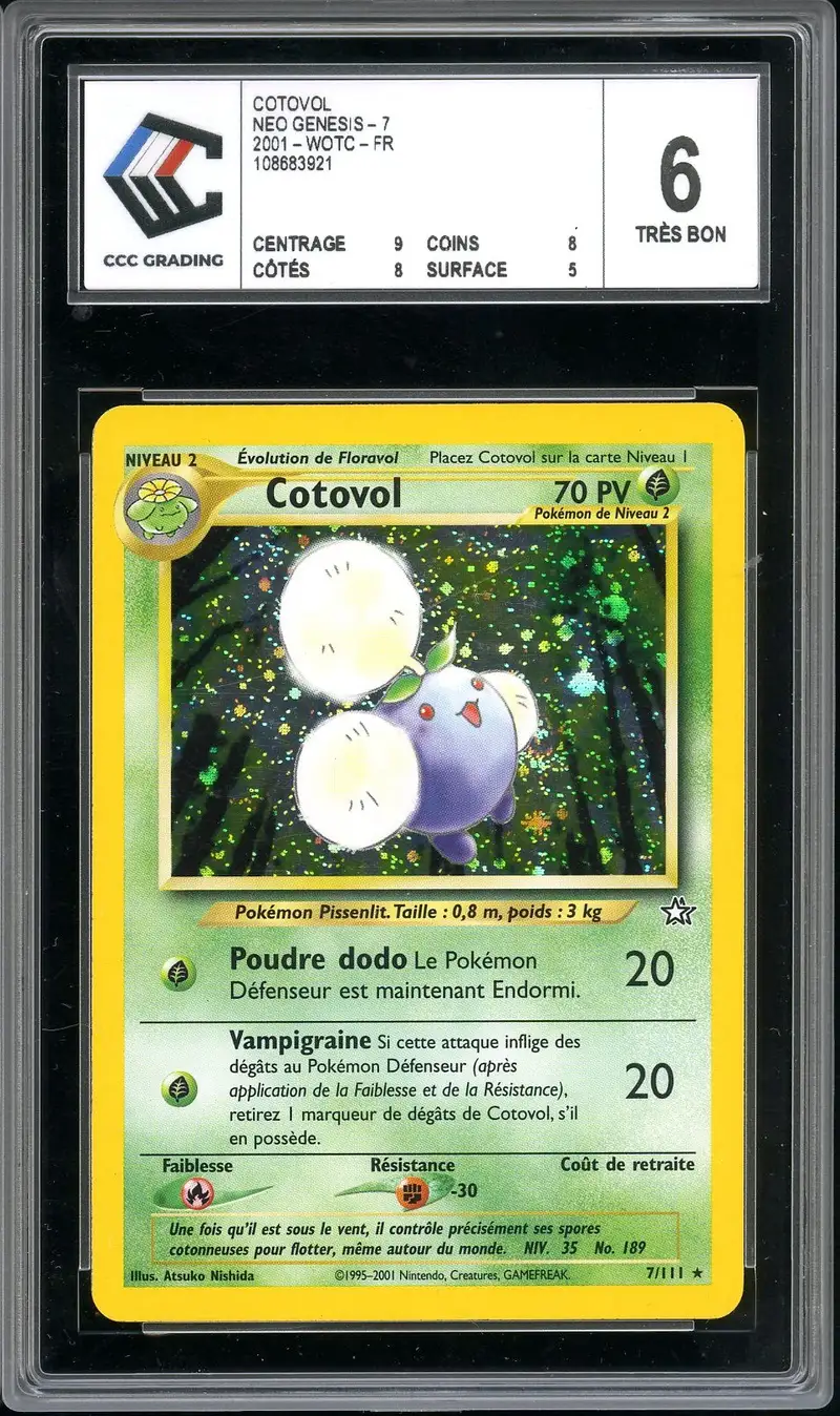 CCC 6 Cotovol Holo
