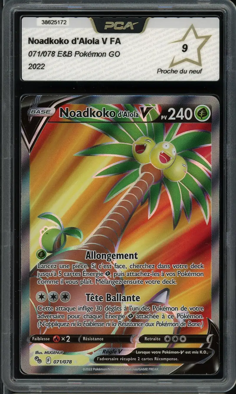 PCA 9 Noadkoko d'Alola V