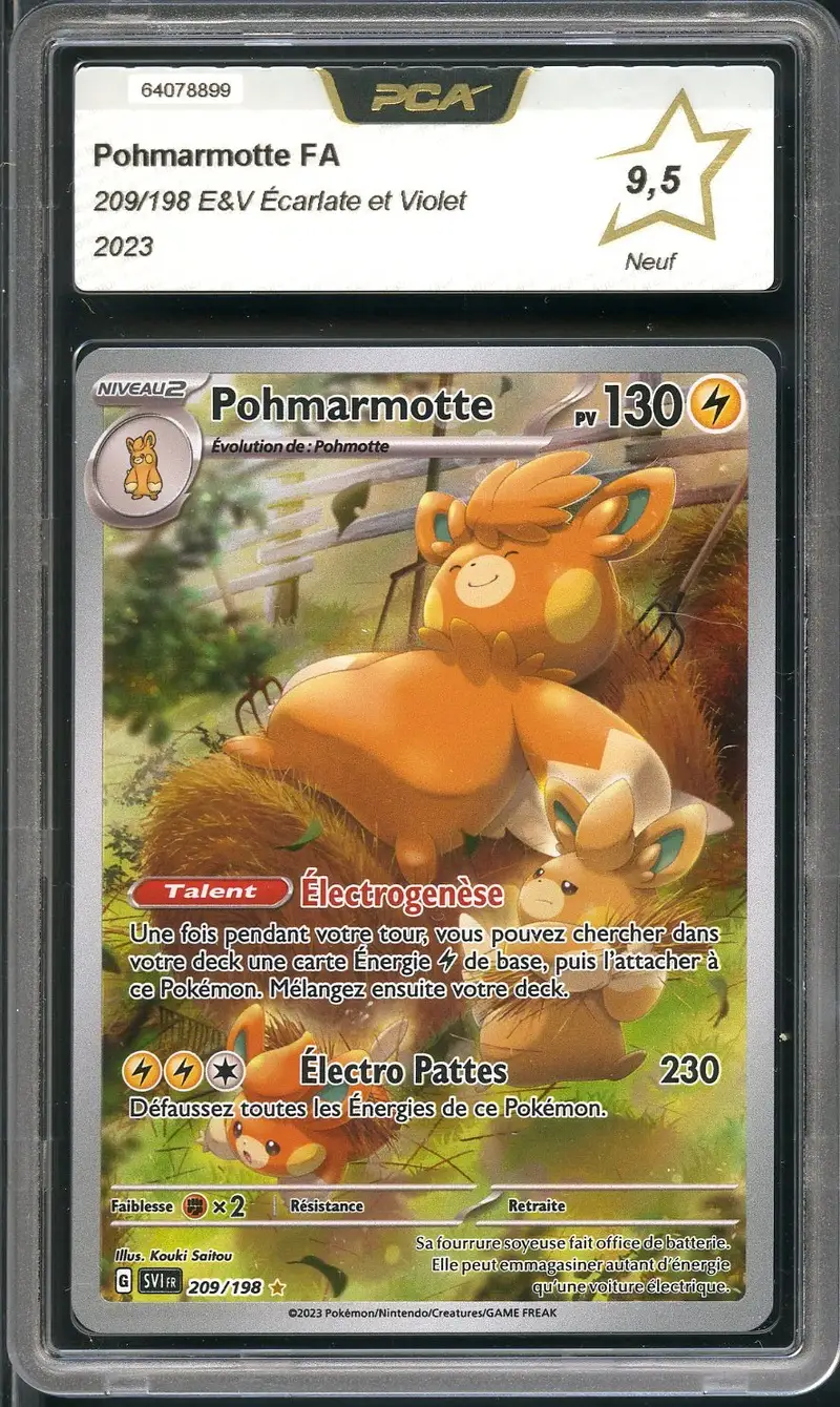 PCA 9.5 Pohmarmotte