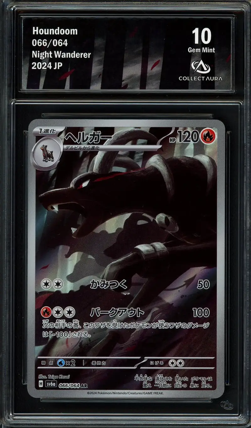 CA 10 Houndoom
