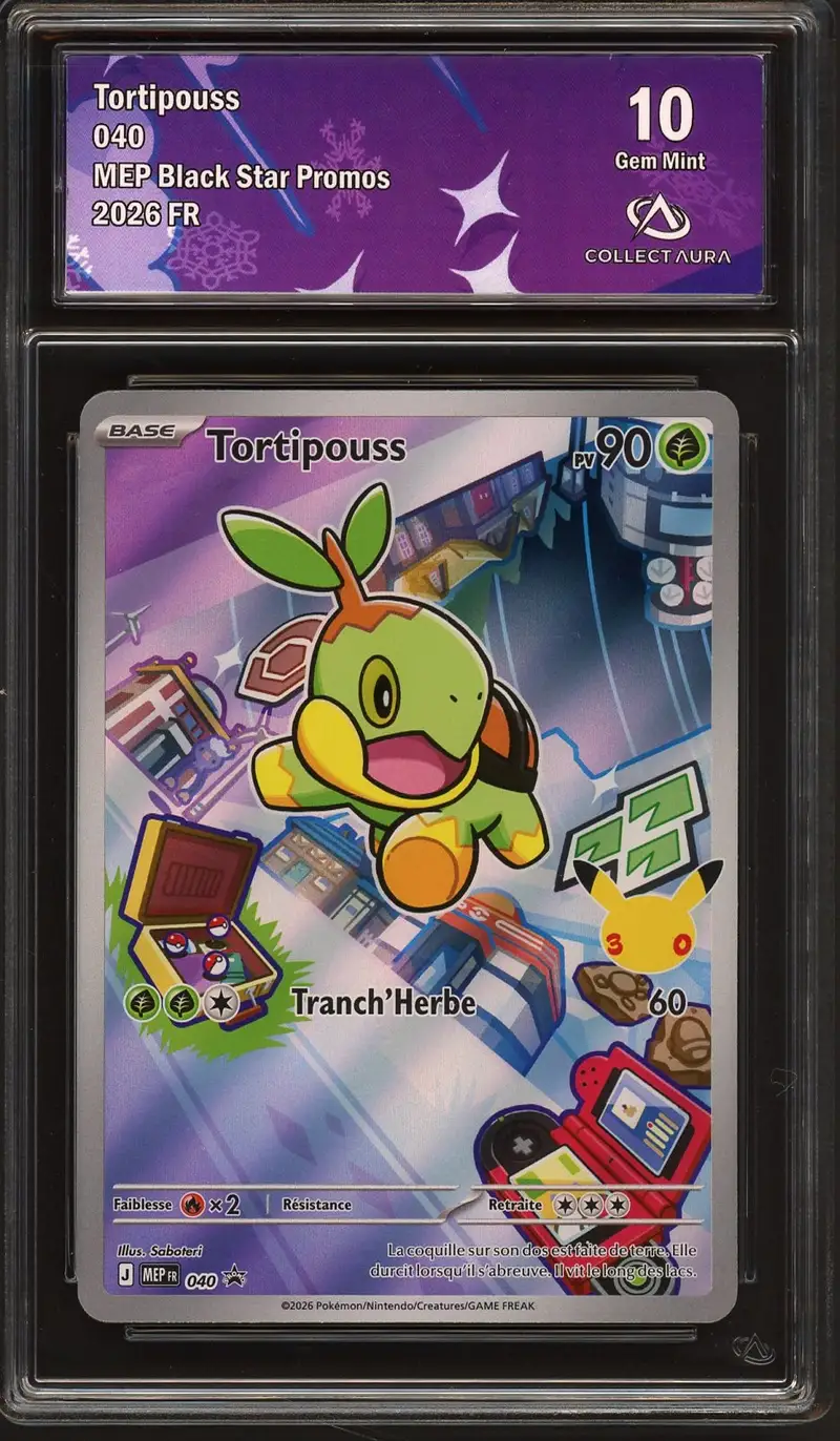 CA 10 Tortipouss