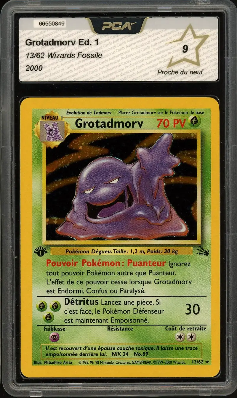 PCA 9 Grotadmorv Holo