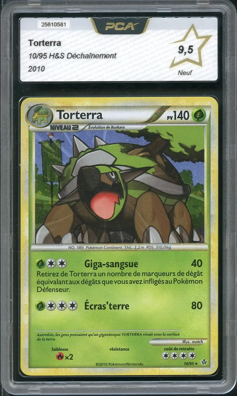 PCA 9.5 Torterra