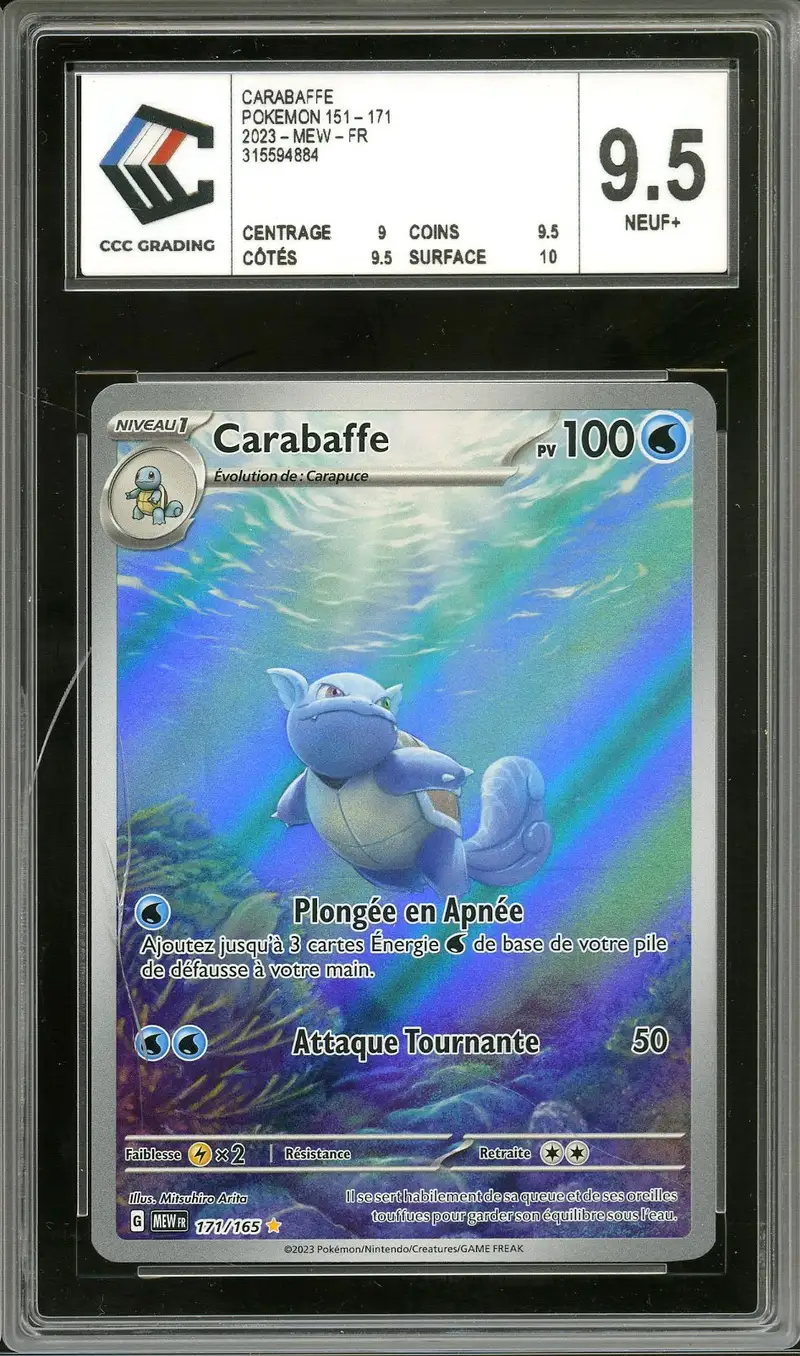 CCC 9.5 Carabaffe