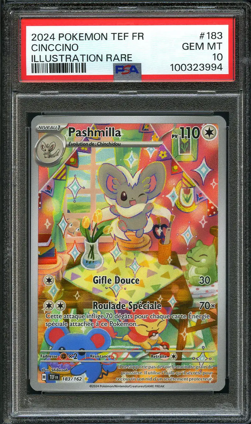 PSA 10 Pashmilla