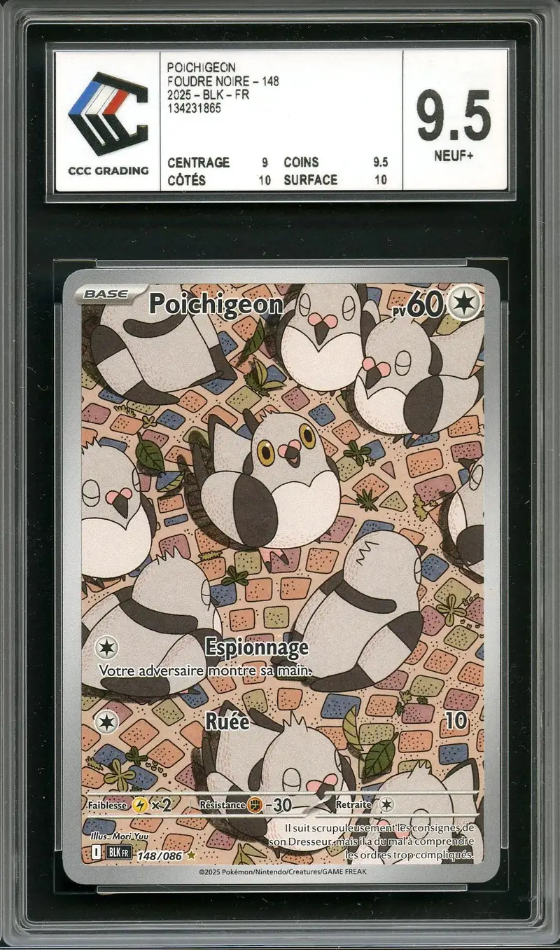 CCC 9.5 Poichigeon