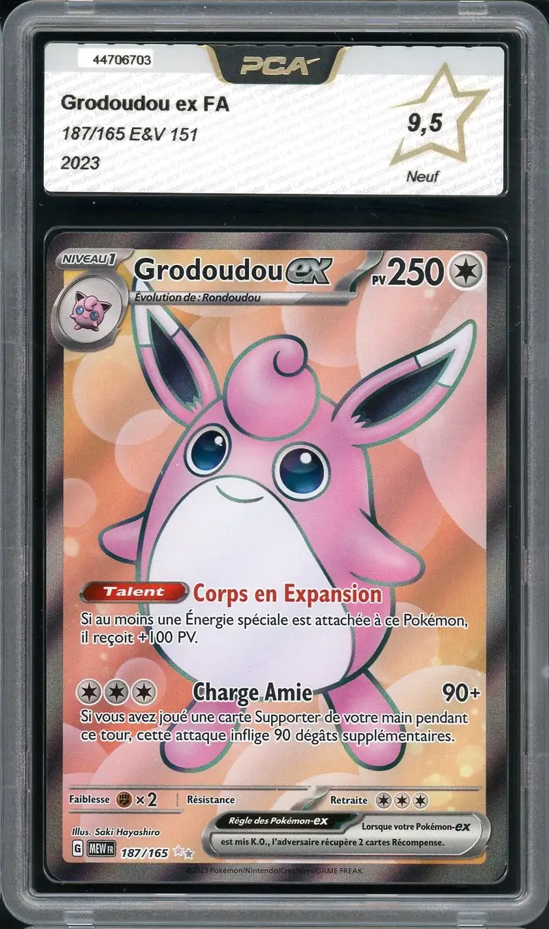 PCA 9.5 Grodoudou Ex