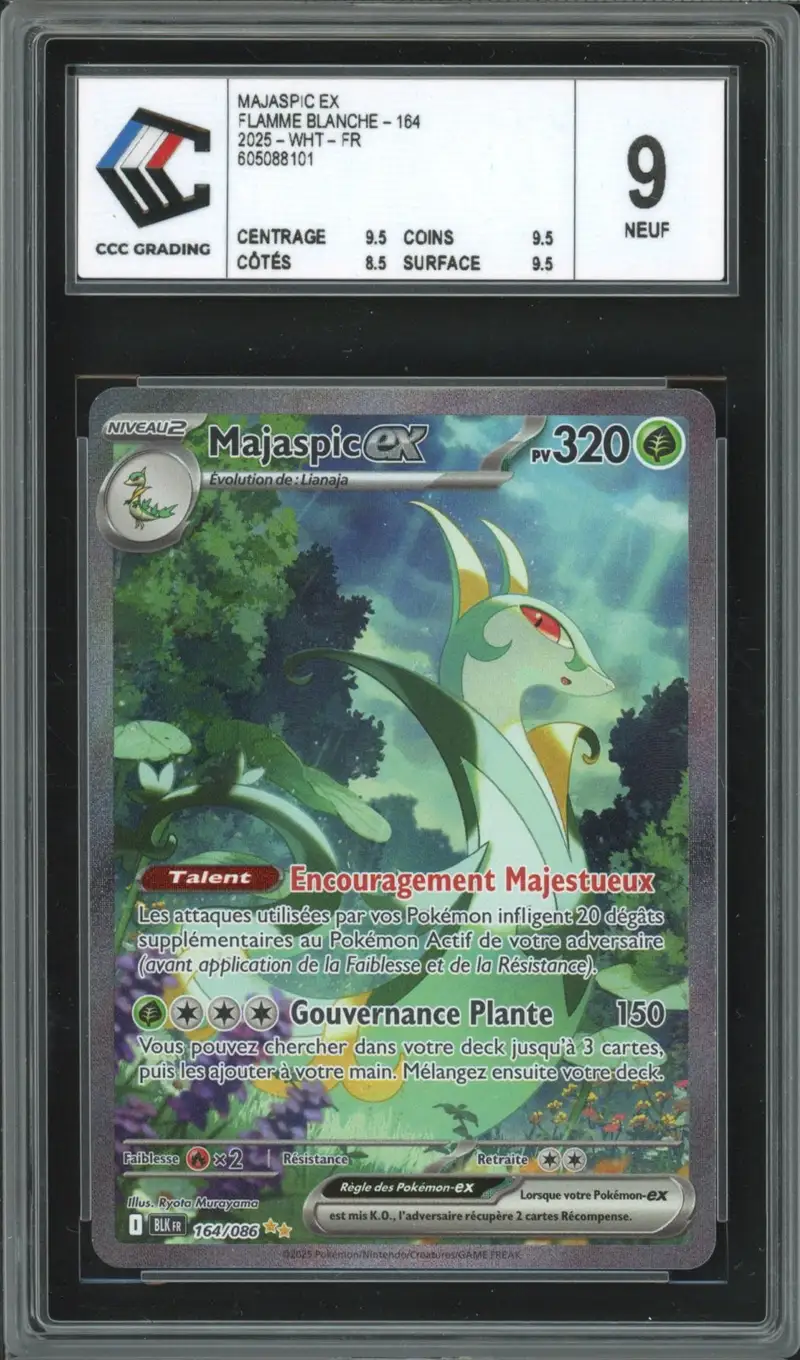 CCC 9 Majaspic Ex