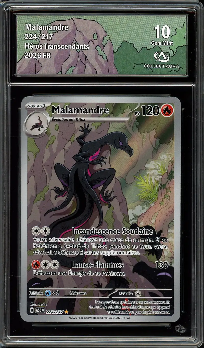 CA 10 Malamandre