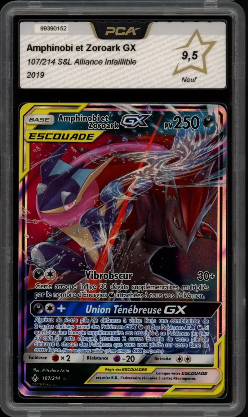 PCA 9.5 Amphinobi et Zoroark Gx