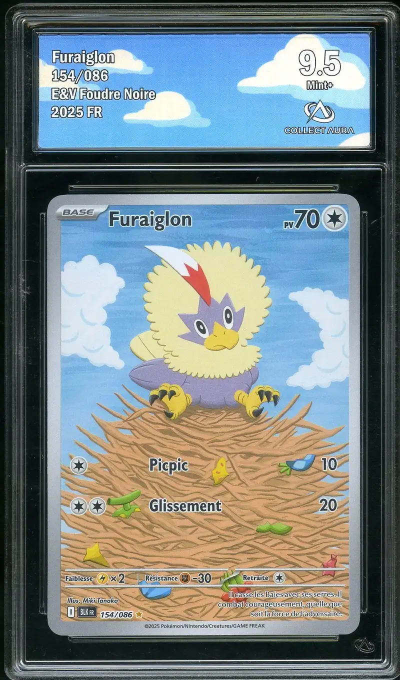CA 9.5 Furaiglon