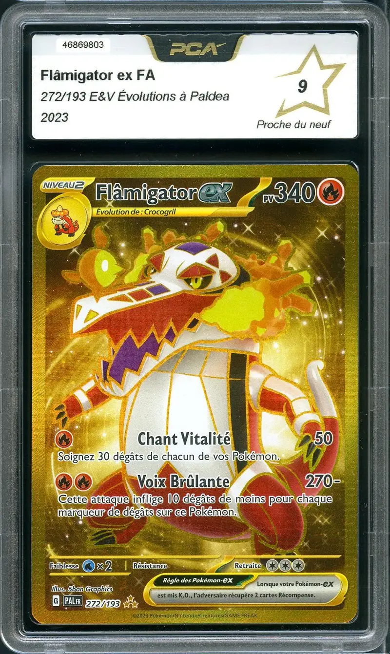 PCA 9 Flâmigator Ex Gold