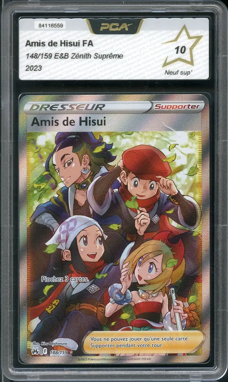 PCA 10 Amis de Hisui