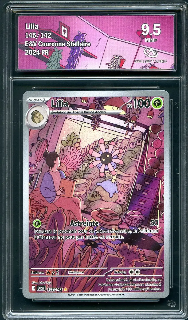 CA 9.5 Lilia