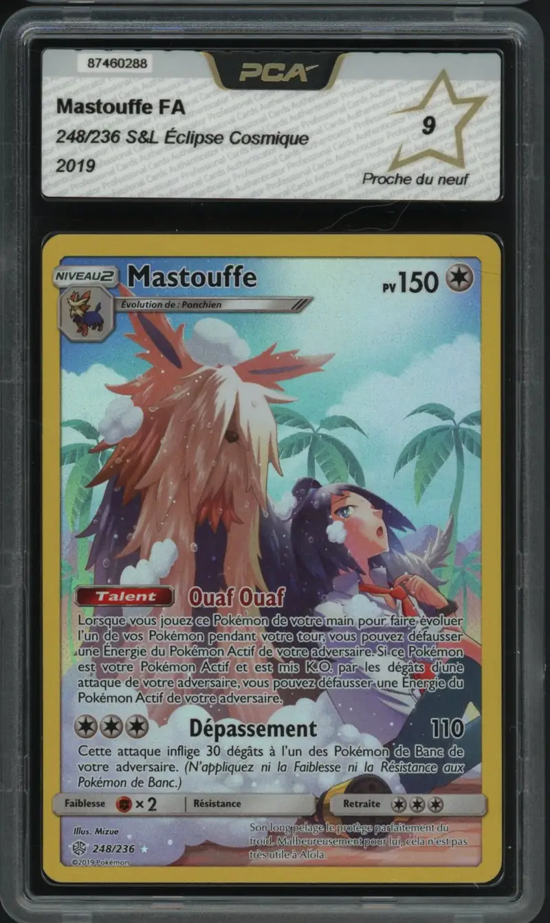 PCA 9 Mastouffe