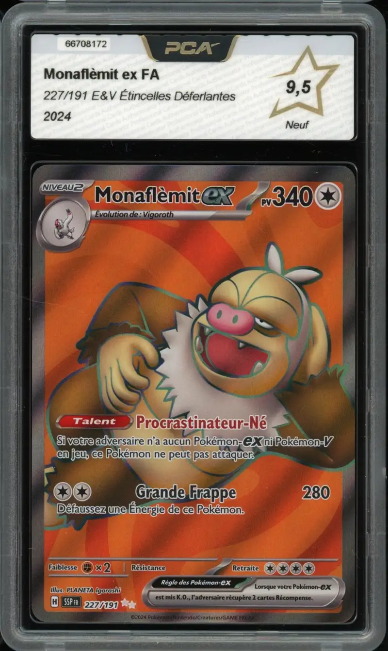 PCA 9.5 Monaflèmit Ex