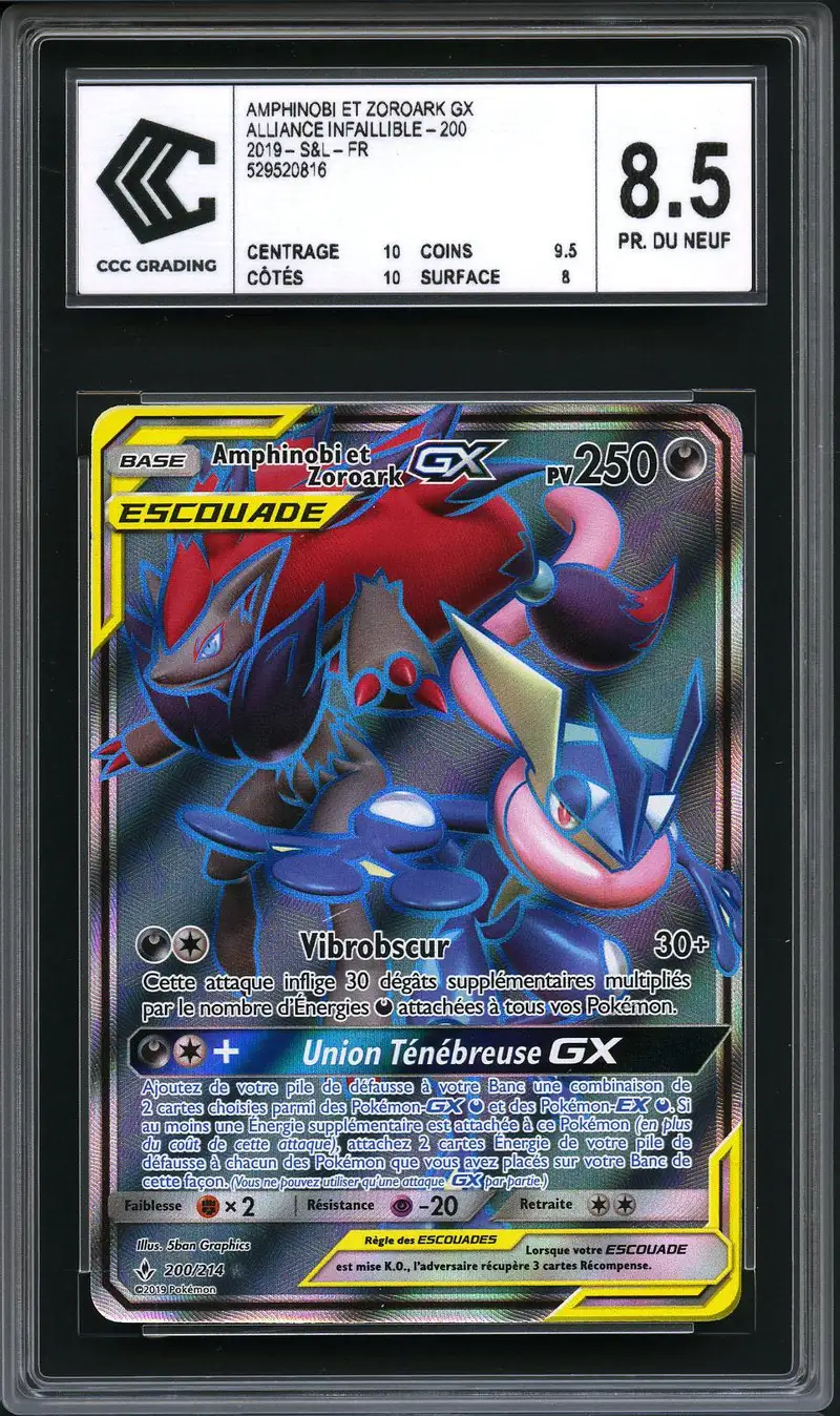 CCC 8.5 Amphinobi & Zoroark Gx