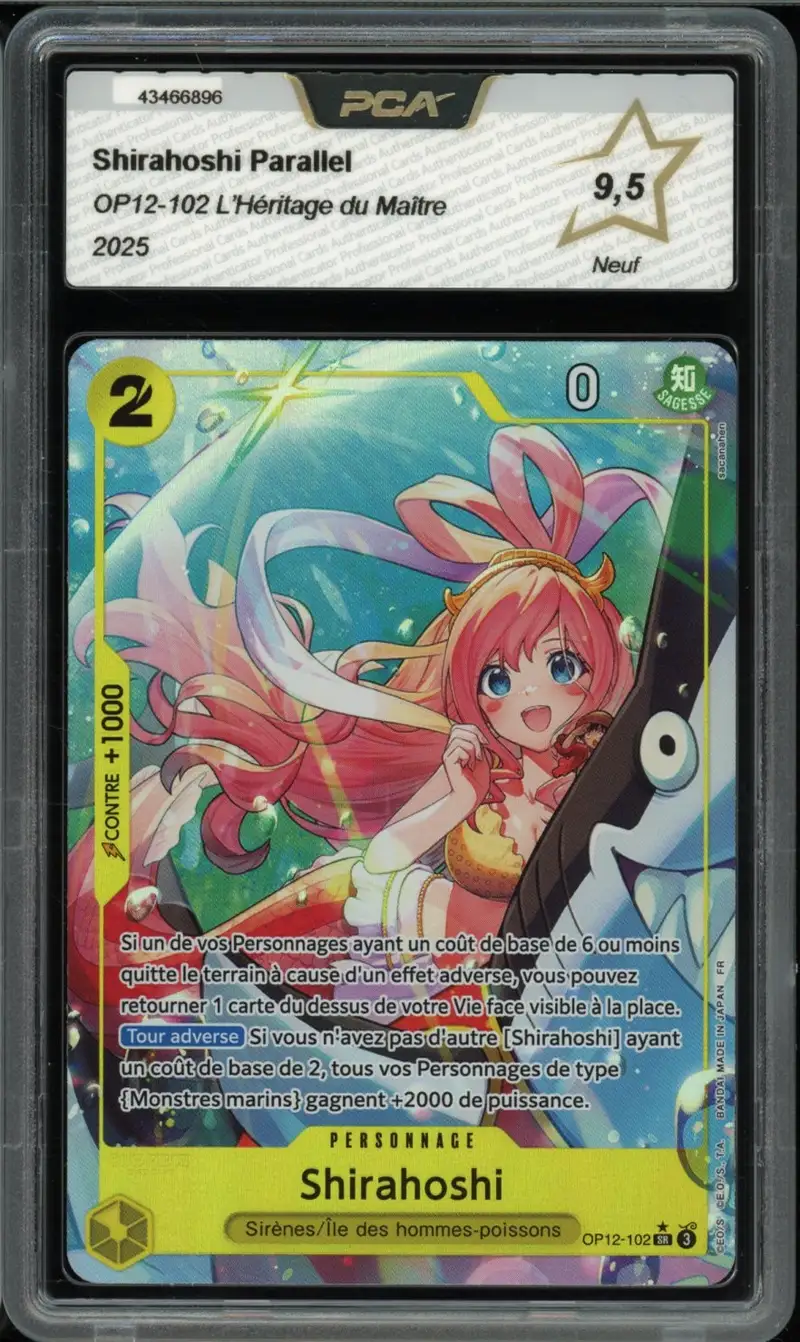 PCA 9.5 Shirahoshi