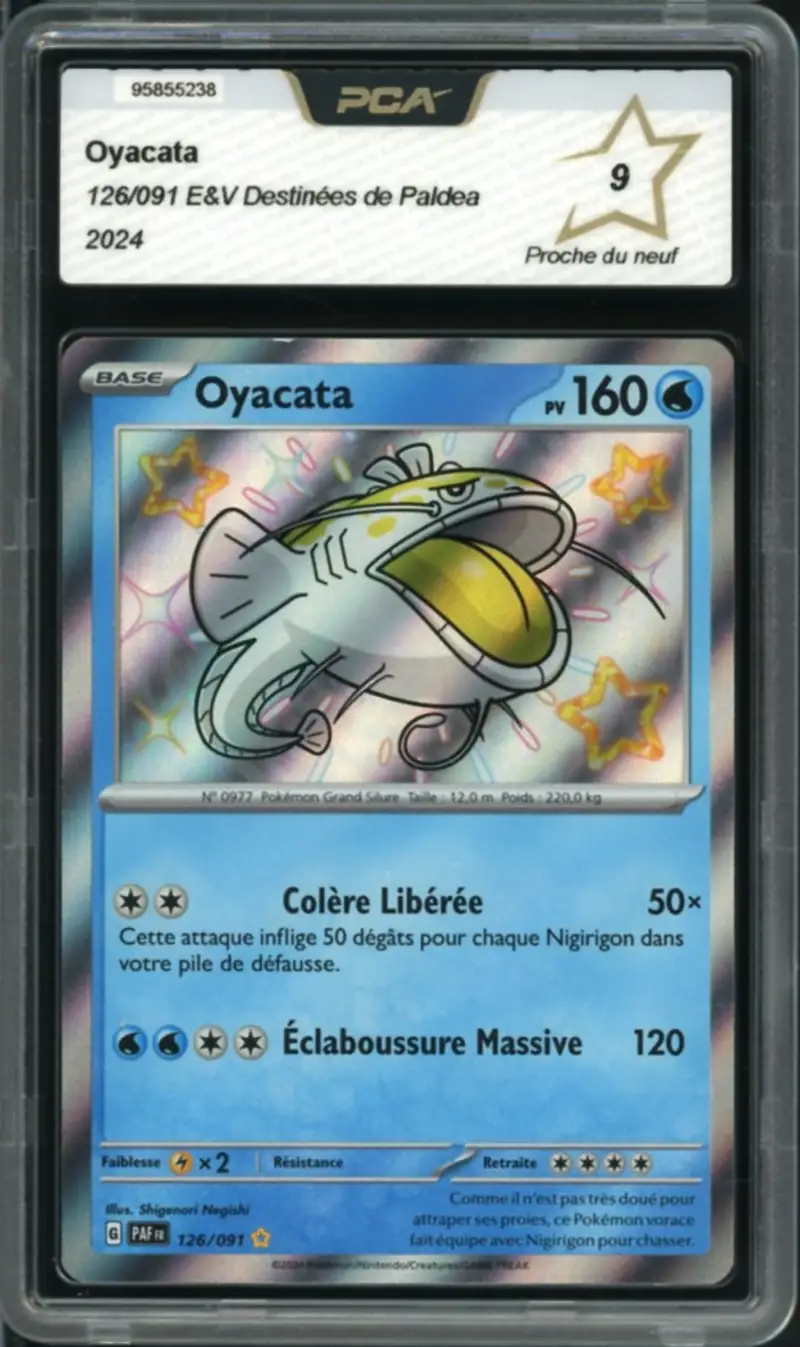 PCA 9 Oyacata Shiny