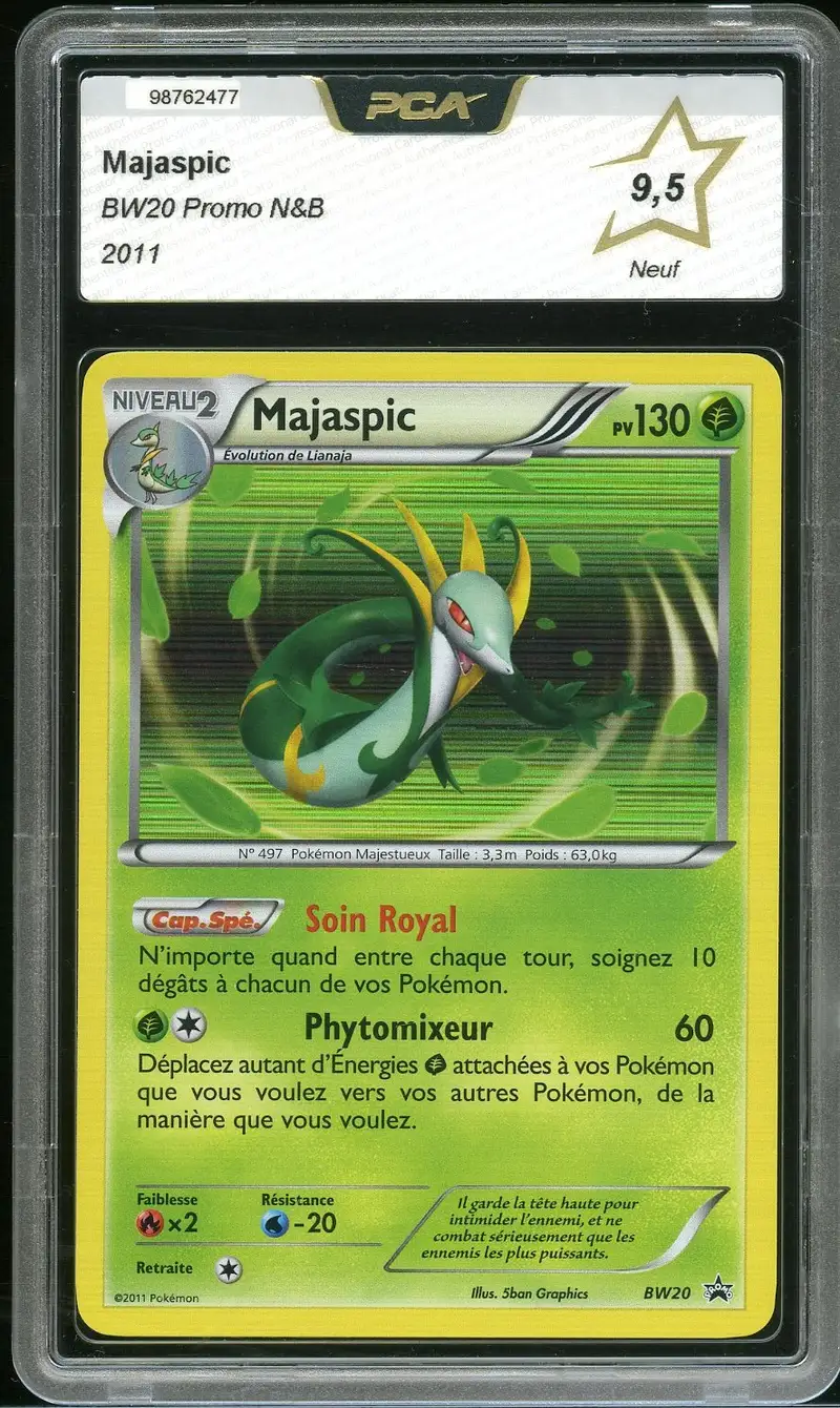 PCA 9.5 Majaspic Holo